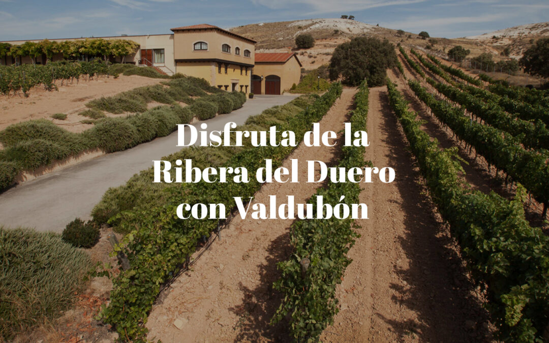 header-web-valdubon-2