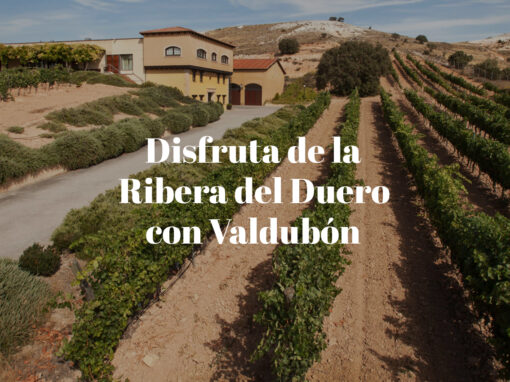 header-web-valdubon-2