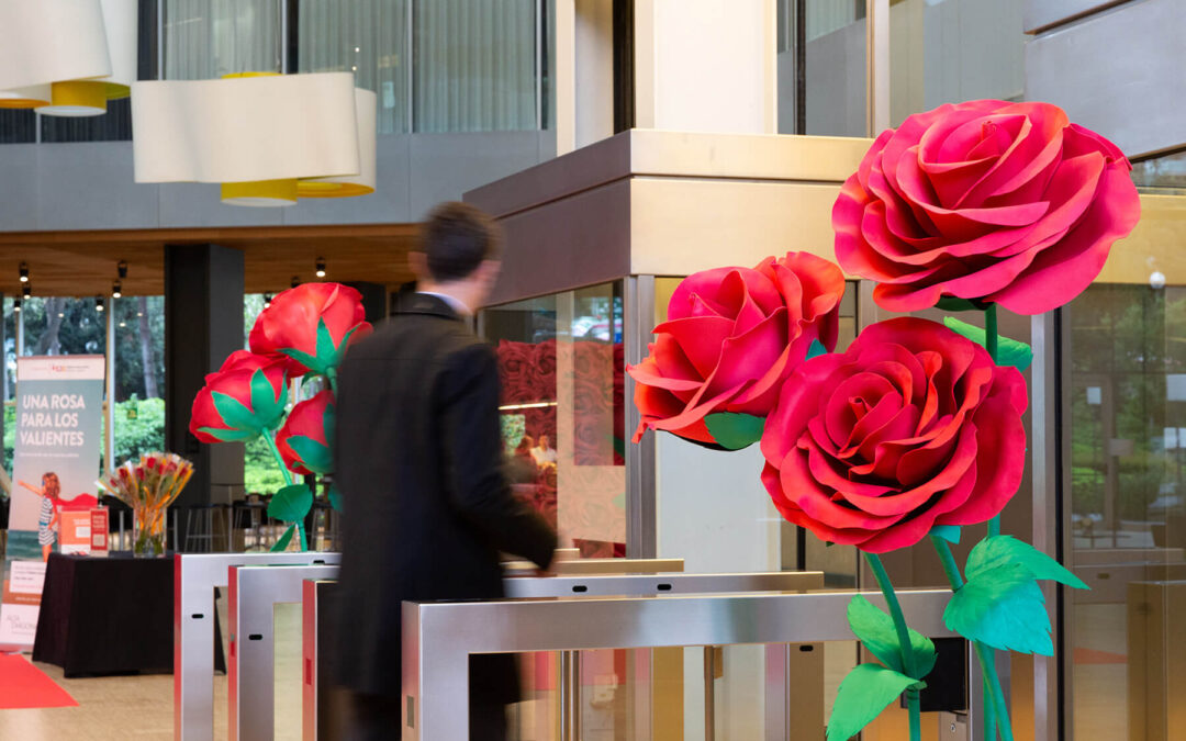 13-190423_ALTA-DIAGONAL_052